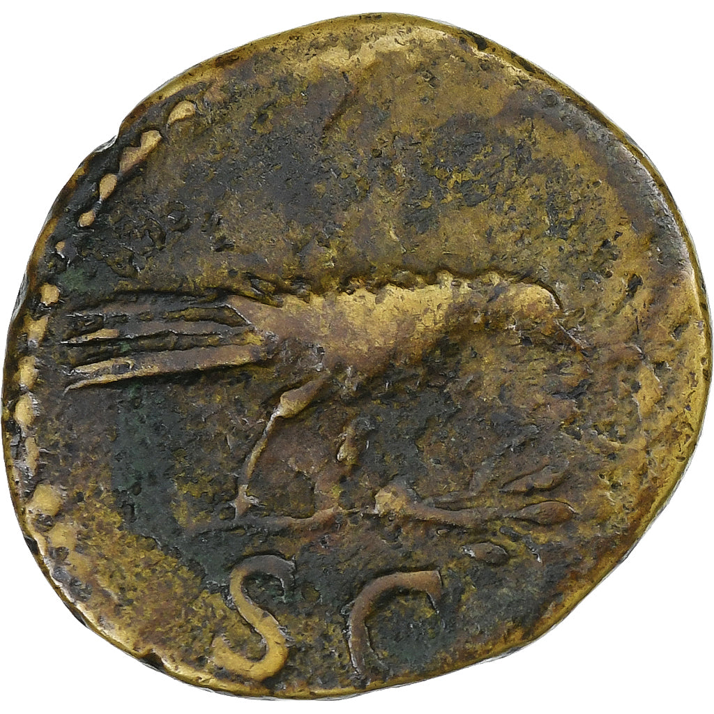 Domicjan,
pół,
90-91